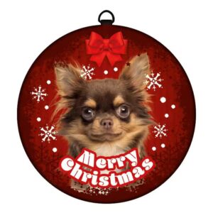 Julebrikke Merry Christmas