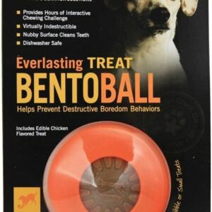 Starmark Everlasting Bento Ball Large