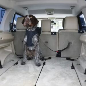 KONG Cargo Swivel Tether