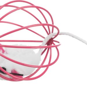 Mus i Gitterball