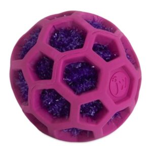 JW Cataction Rattle Ball