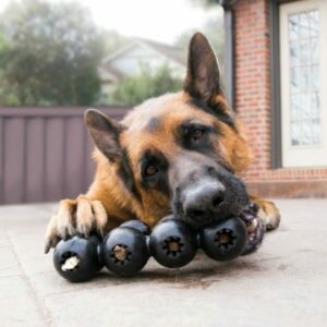 Image for article 4019