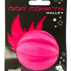 Dog Comets Halley