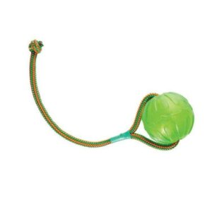 Starmark Swing 'n Fling Chewball