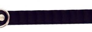Skinnhalsbånd Sort 22mm